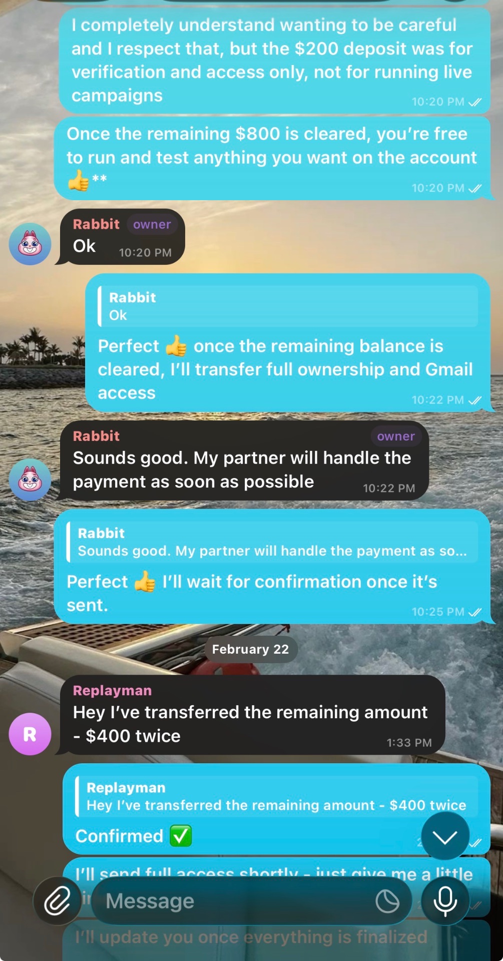 Buyer confirming ownership transfer and full account access